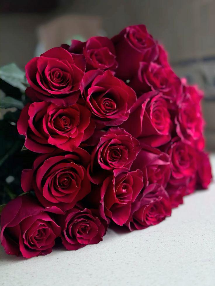 Serenade of Petals Artisan Collection